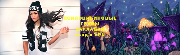 круглые Аркадак