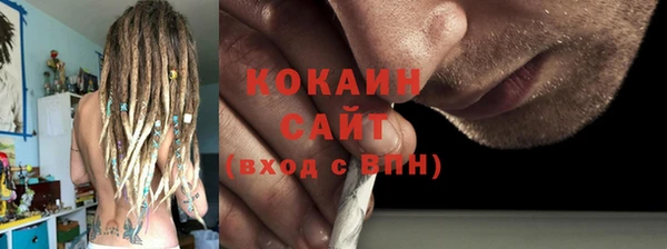 индика Армянск