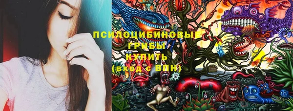 индика Армянск