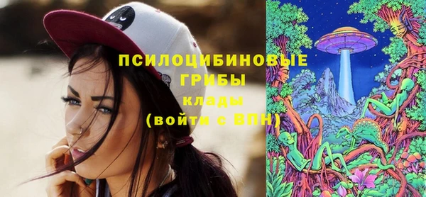 индика Армянск