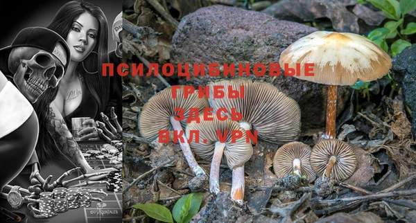 индика Армянск