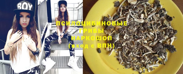 индика Армянск