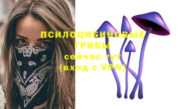 дмт Арсеньев