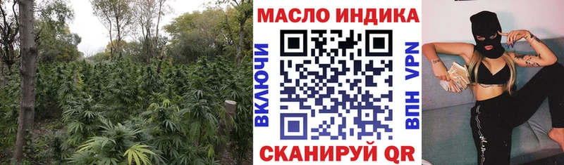 ТГК концентрат цена Балтийск