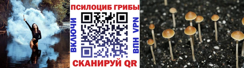 цена наркотик  kraken рабочий сайт  Галлюциногенные грибы прущие грибы  Балтийск 